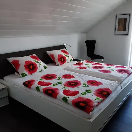 Im Malerischen Kniebis, Cleaning Included * Freudenstadt