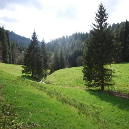 Apartment Im Malerischen Kniebis, Cleaning Included
