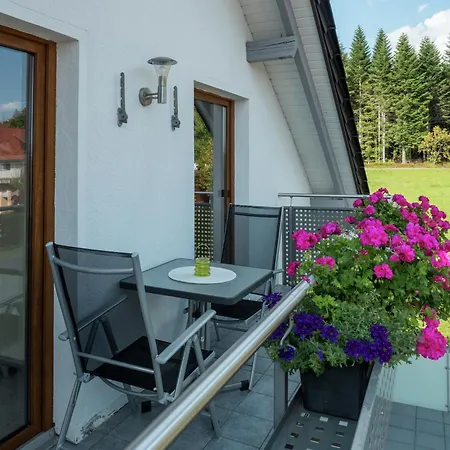 Apartment Im Malerischen Kniebis, Cleaning Included