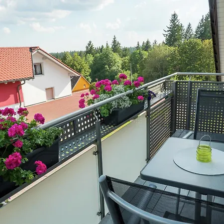 Im Malerischen Kniebis, Cleaning Included Freudenstadt